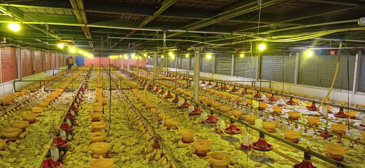 CJ installation Case in Indonesia