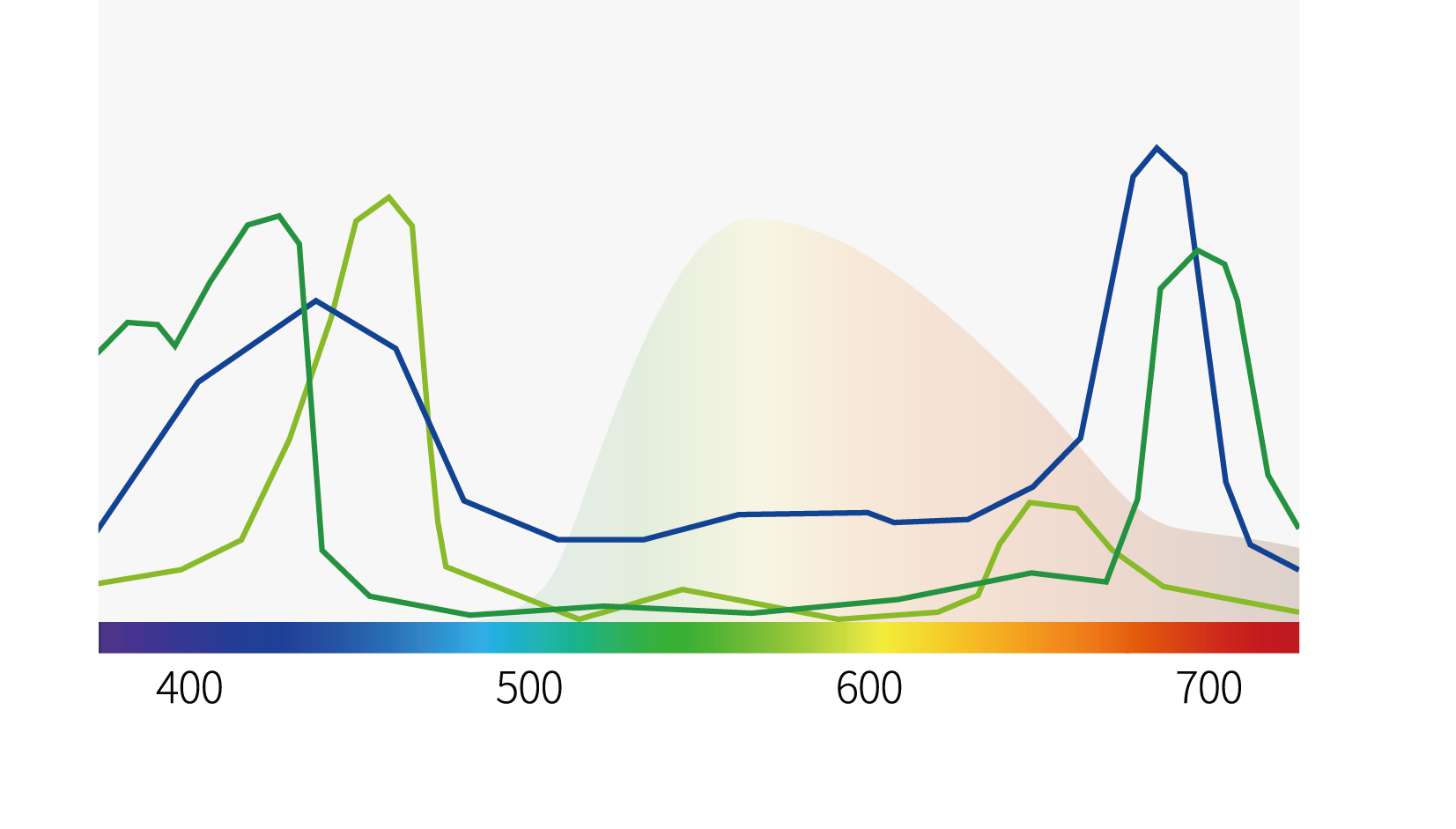 농작물 피해 MTC 조명