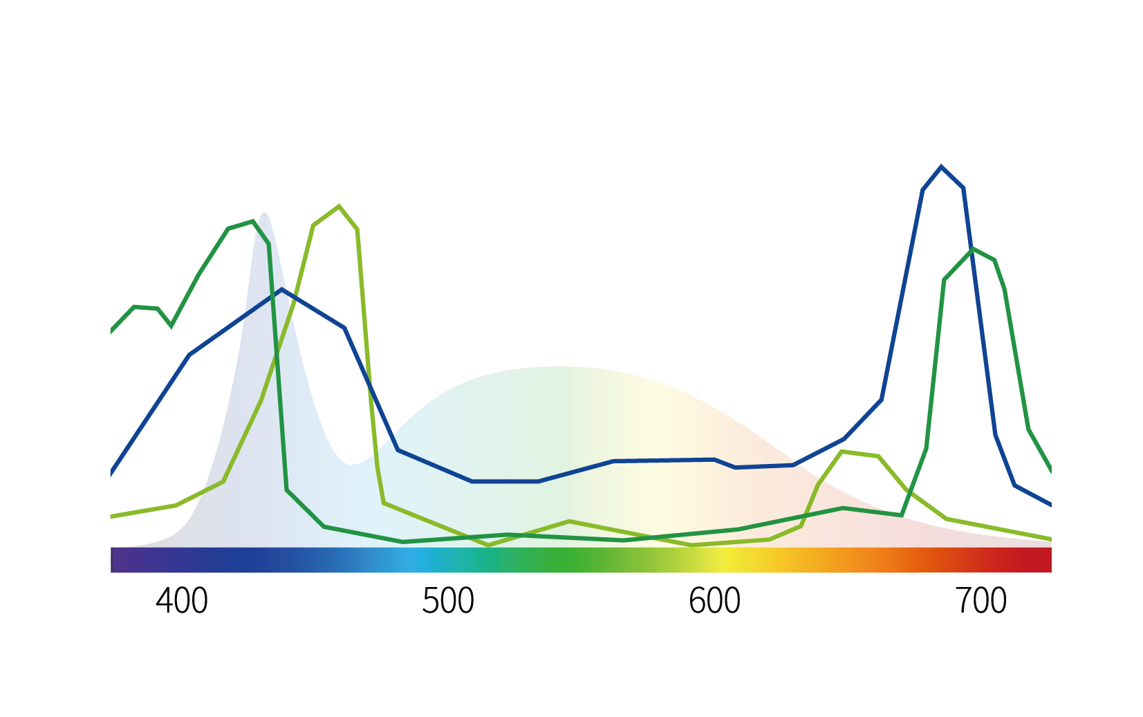 농작물 피해 일반조명