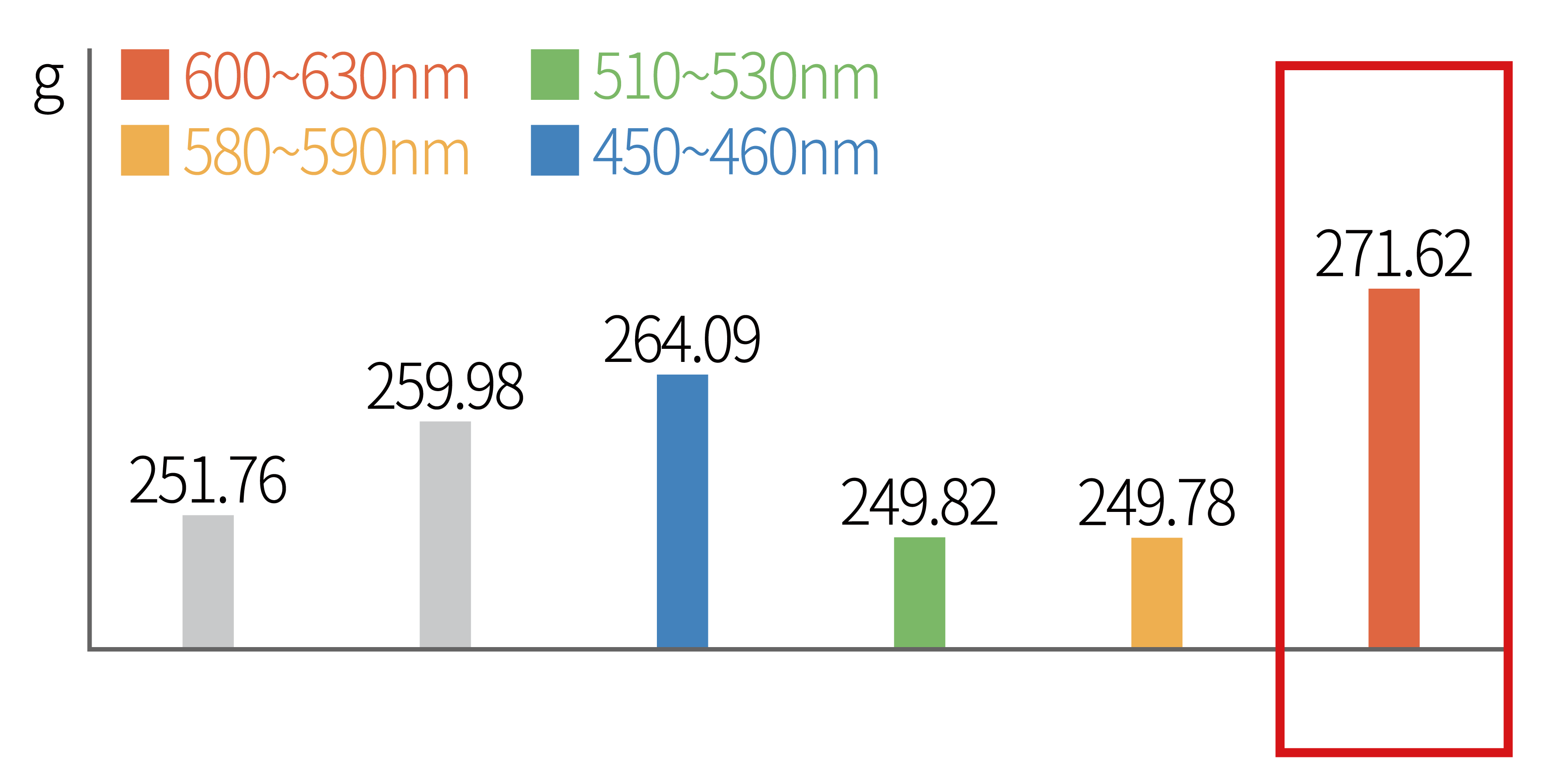 LED 파장별 닭의 평균 산란수