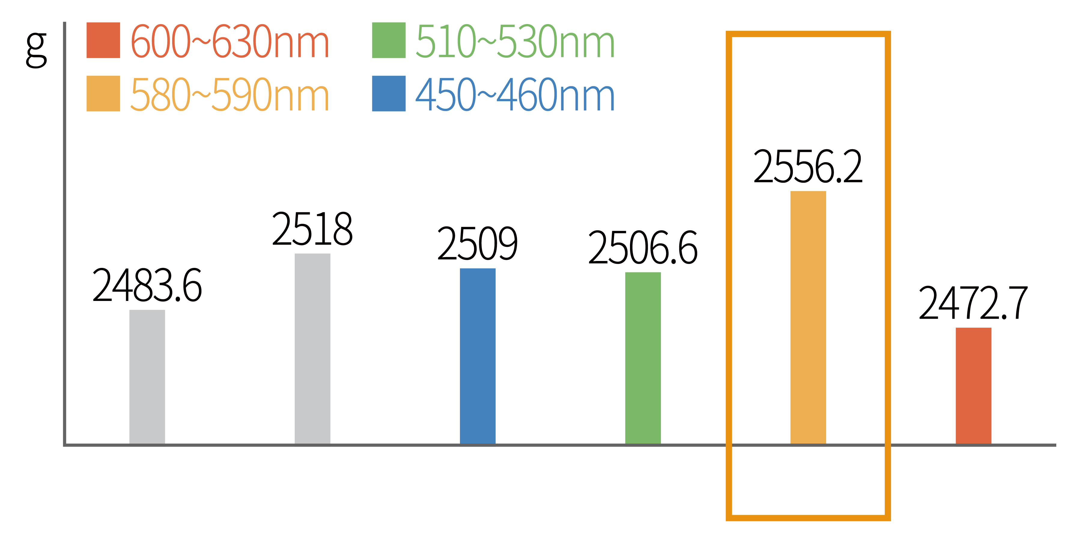 LED 파장별 닭의 몸무게 증가량
