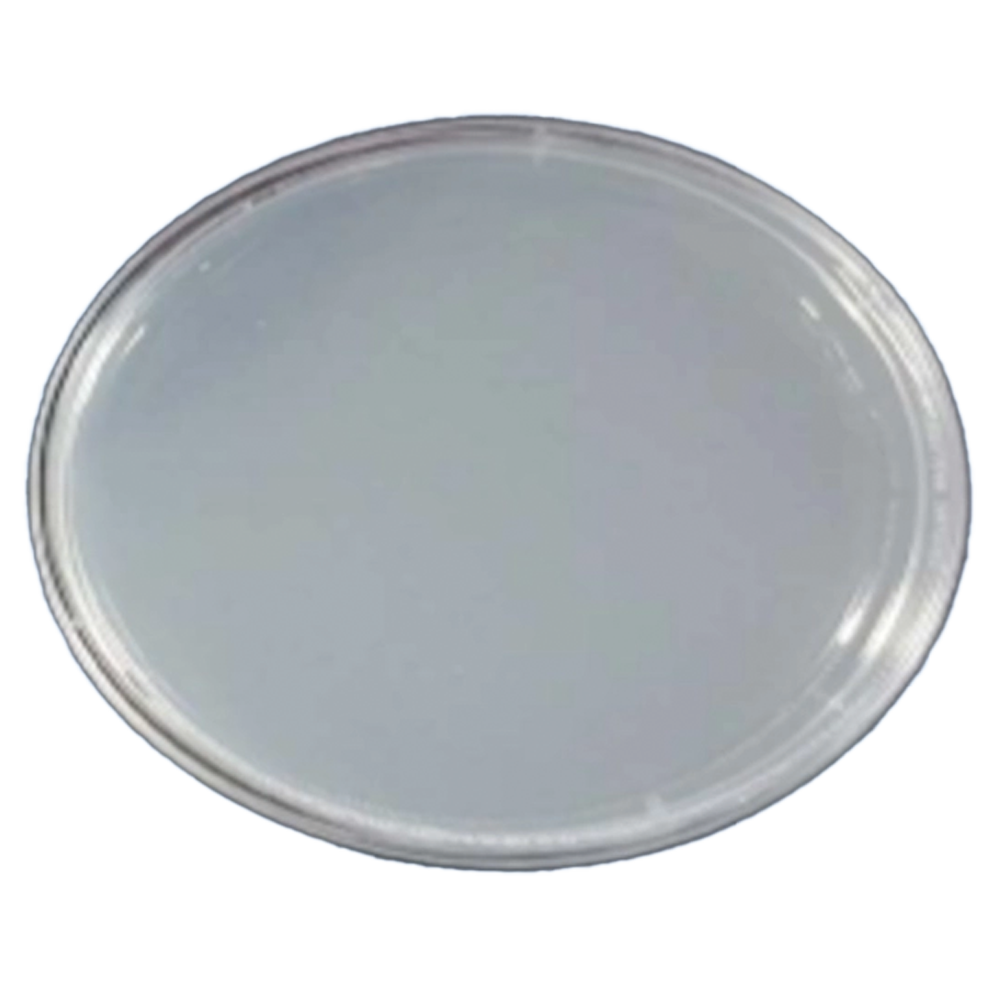 바실러스균_항균LED