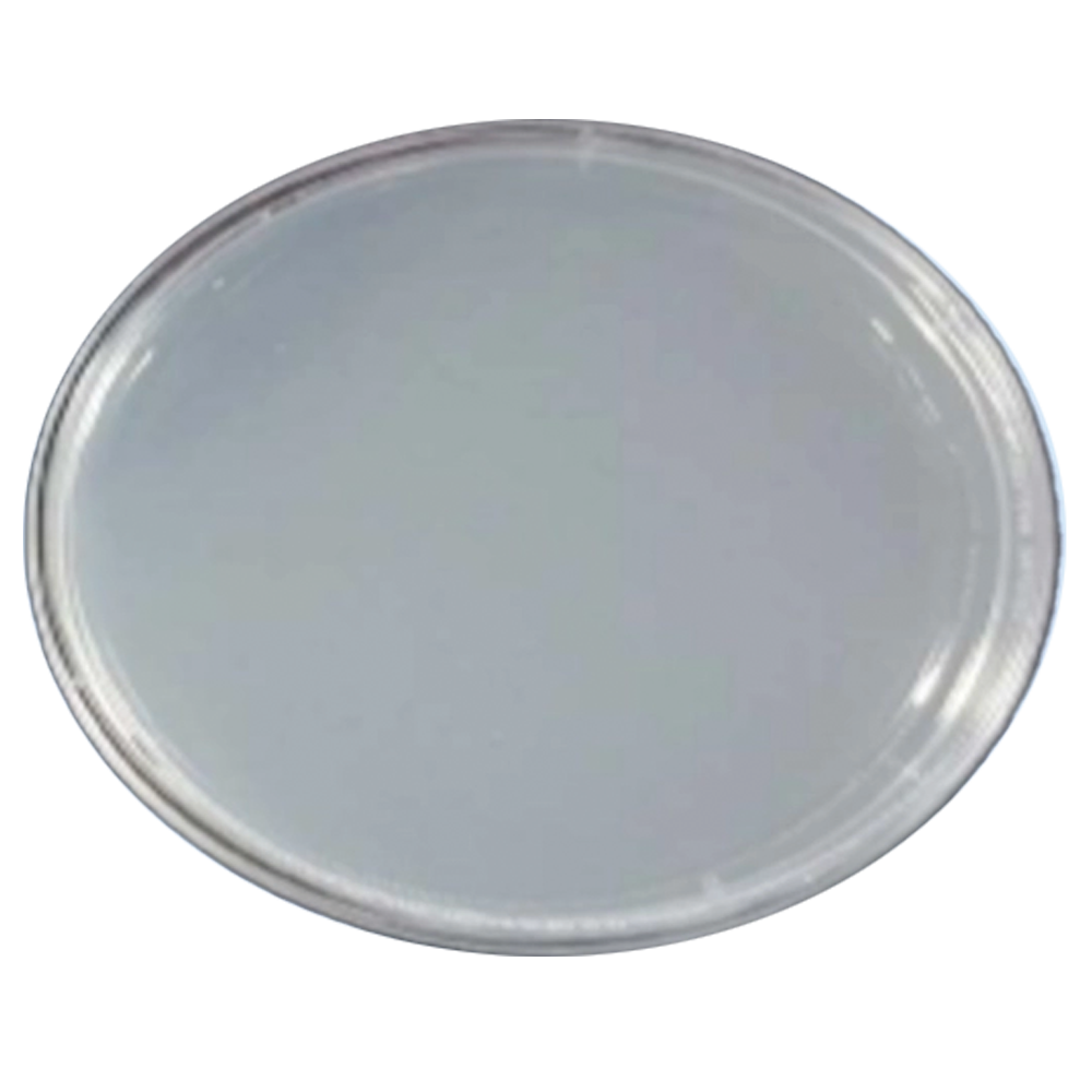 살모넬라균_항균LED